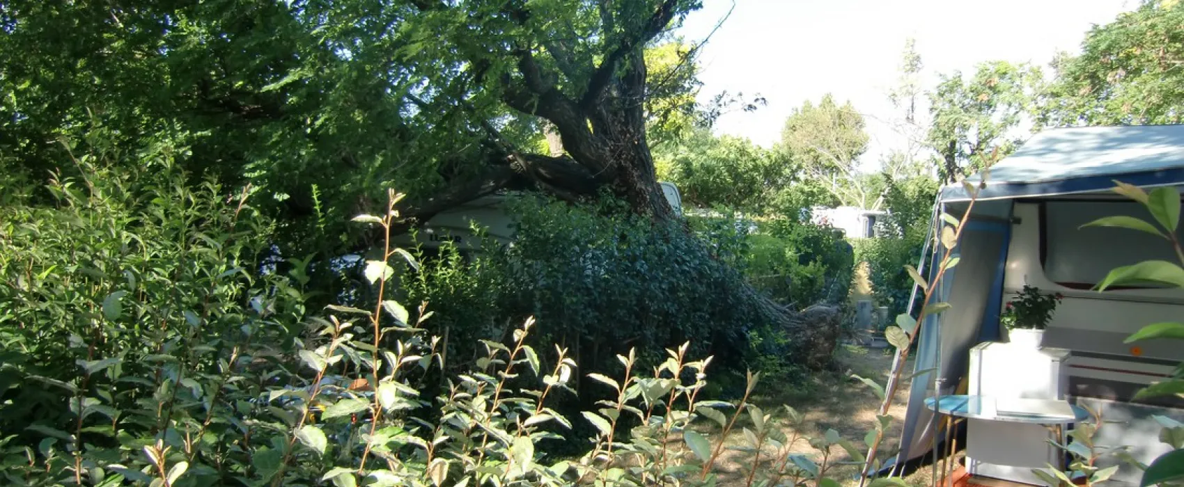 Municipal Les Romarins