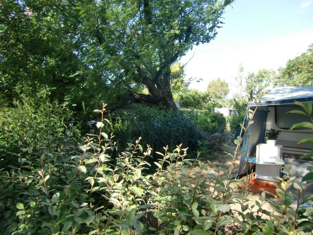 Municipal Les Romarins