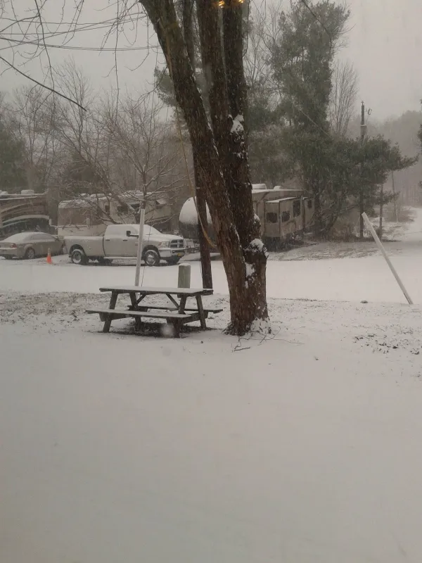 Hillwood Camping Park