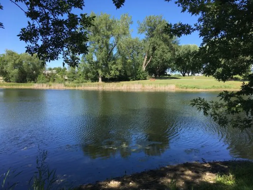 Robinson Park Campground
