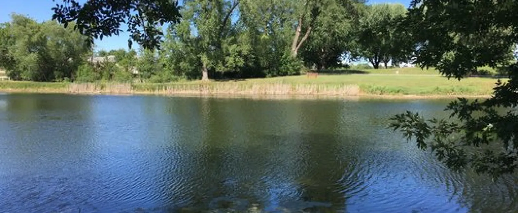 Robinson Park Campground