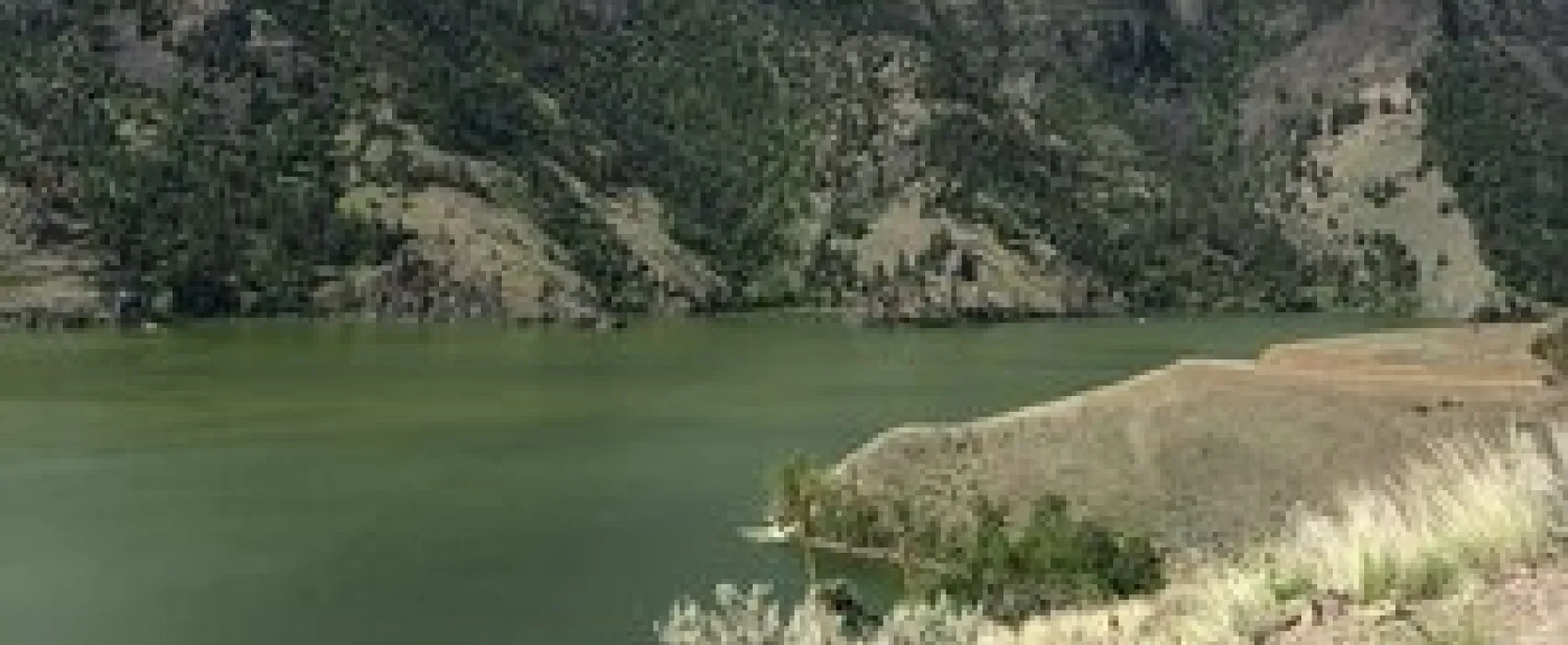 Williams Lake Campground