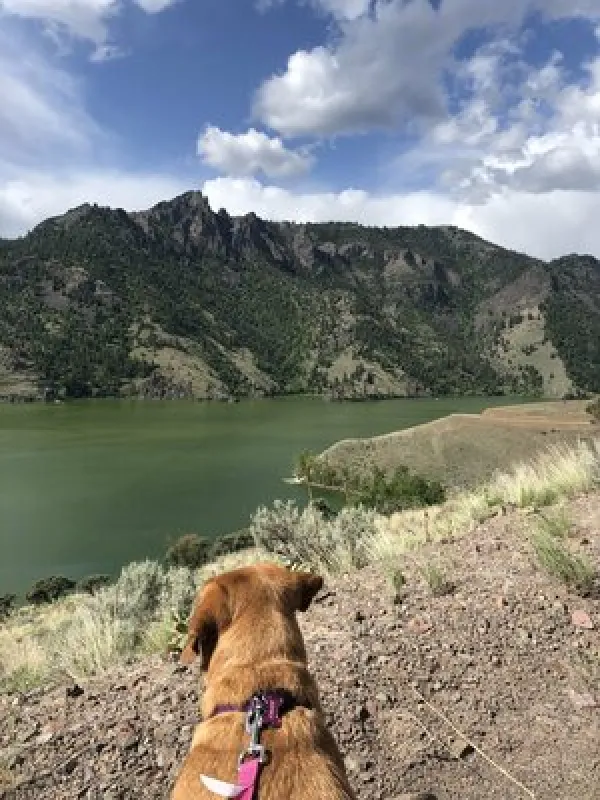 Williams Lake Campground