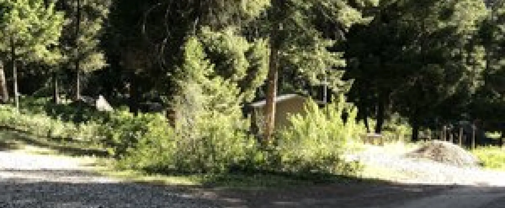 Williams Lake Campground