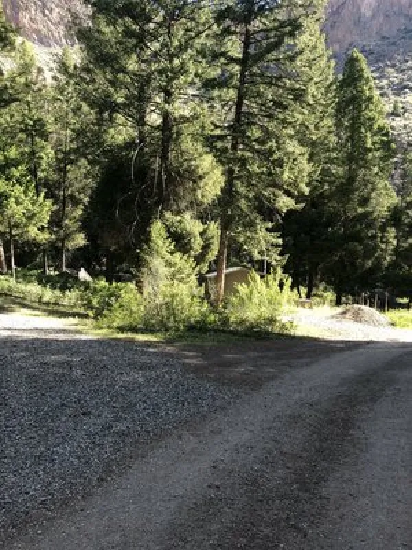 Williams Lake Campground