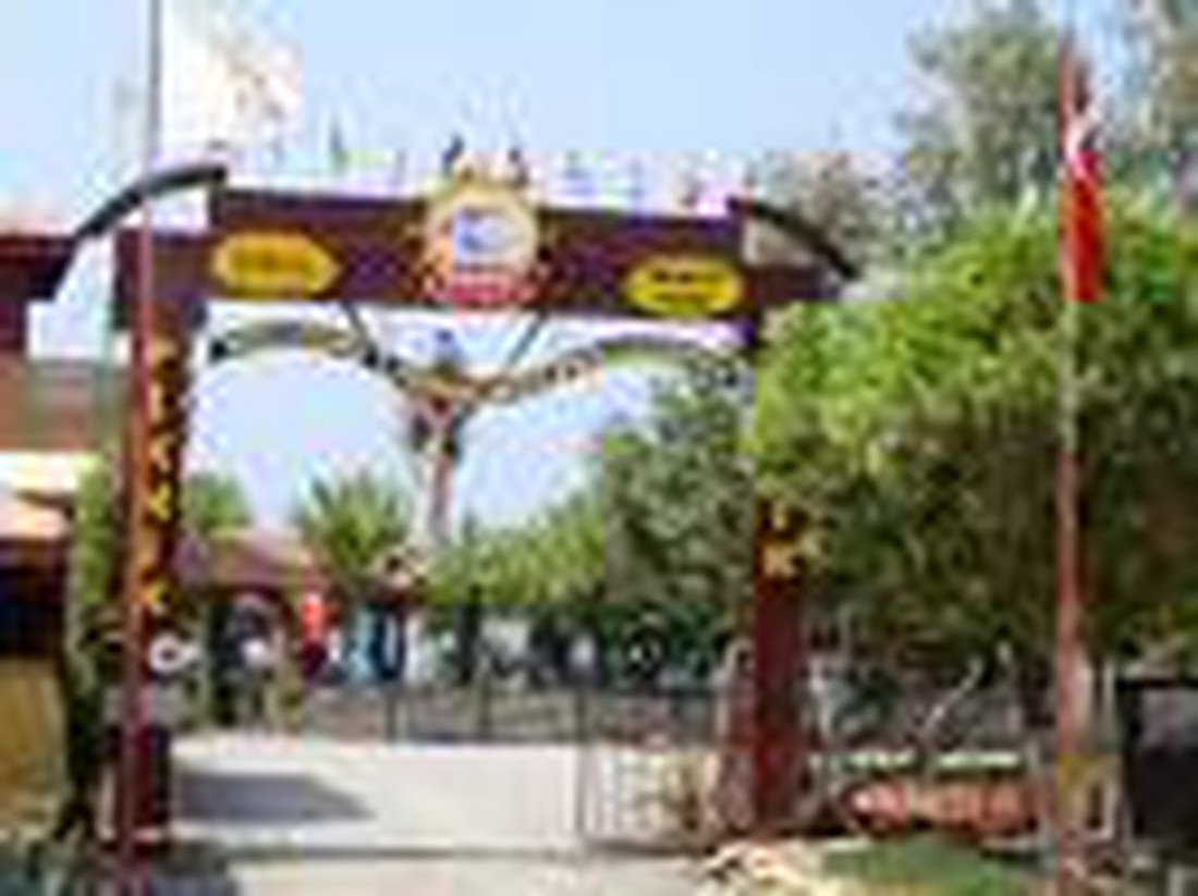 Sedre club - Photo 2