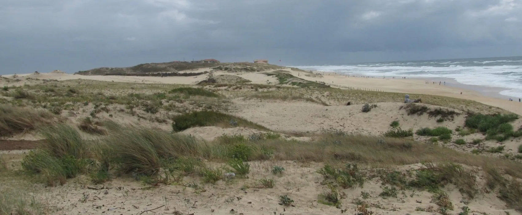 Municipal Les Sableres