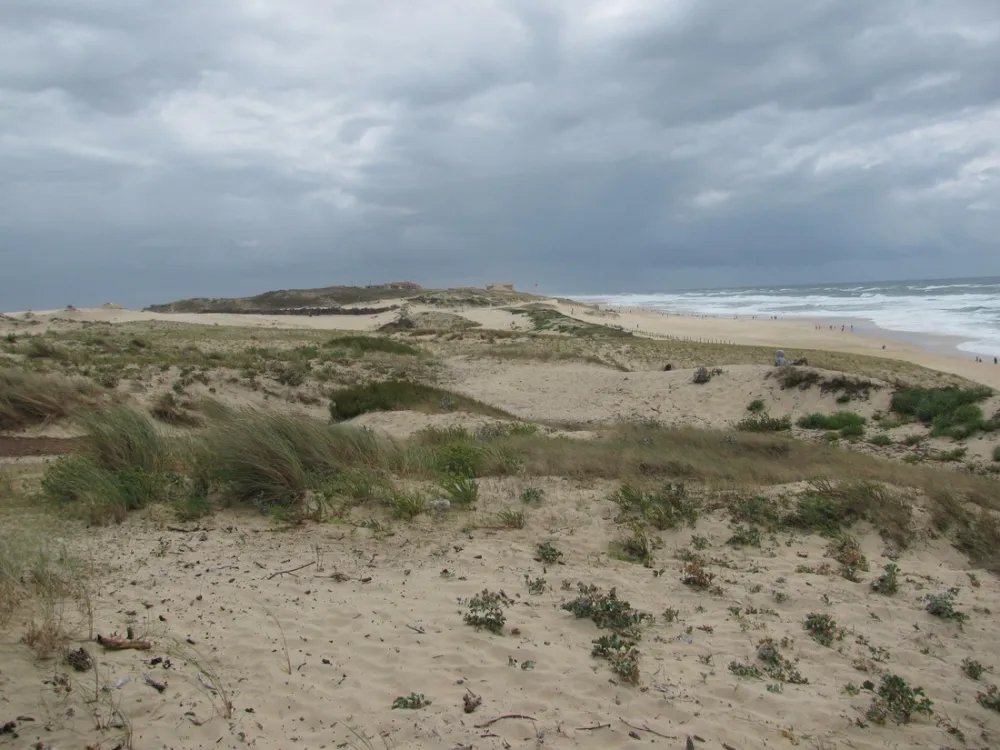 Municipal Les Sableres