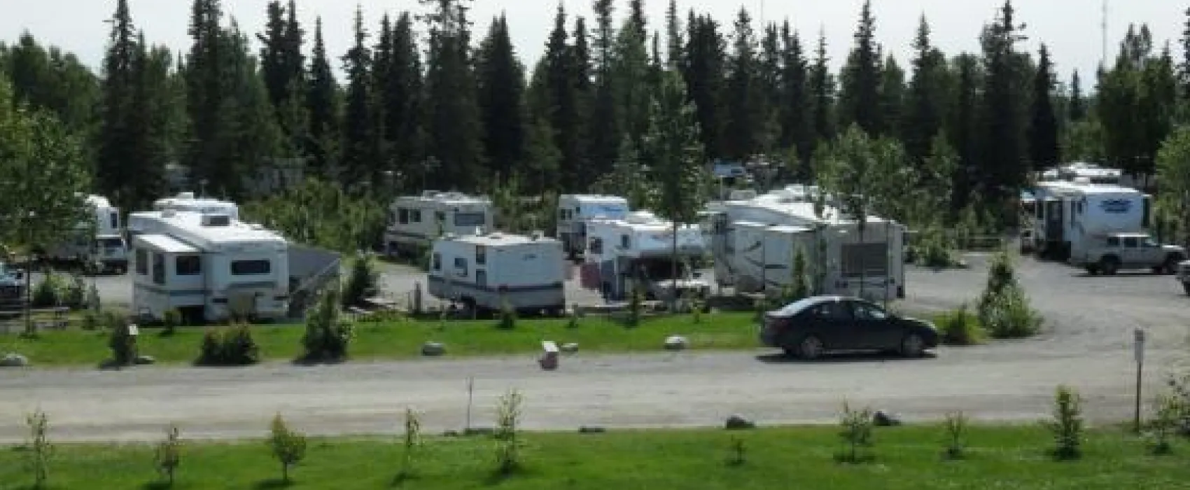 Diamond M Ranch Resort