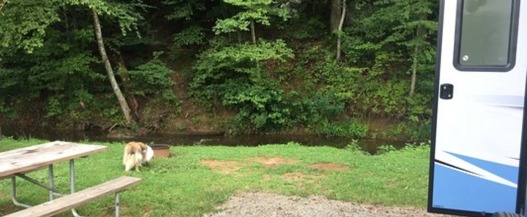 Misty Mountain Camp Resort