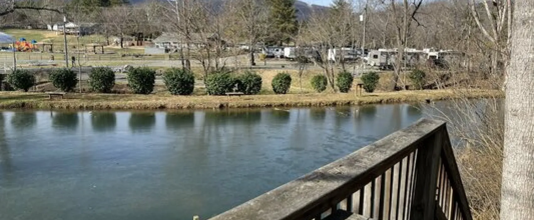 Misty Mountain Camp Resort