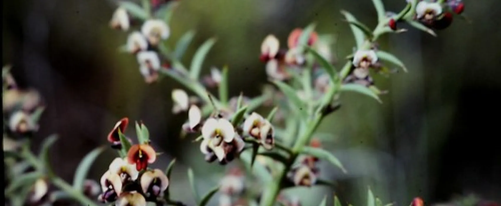 Coffins Corner Campground