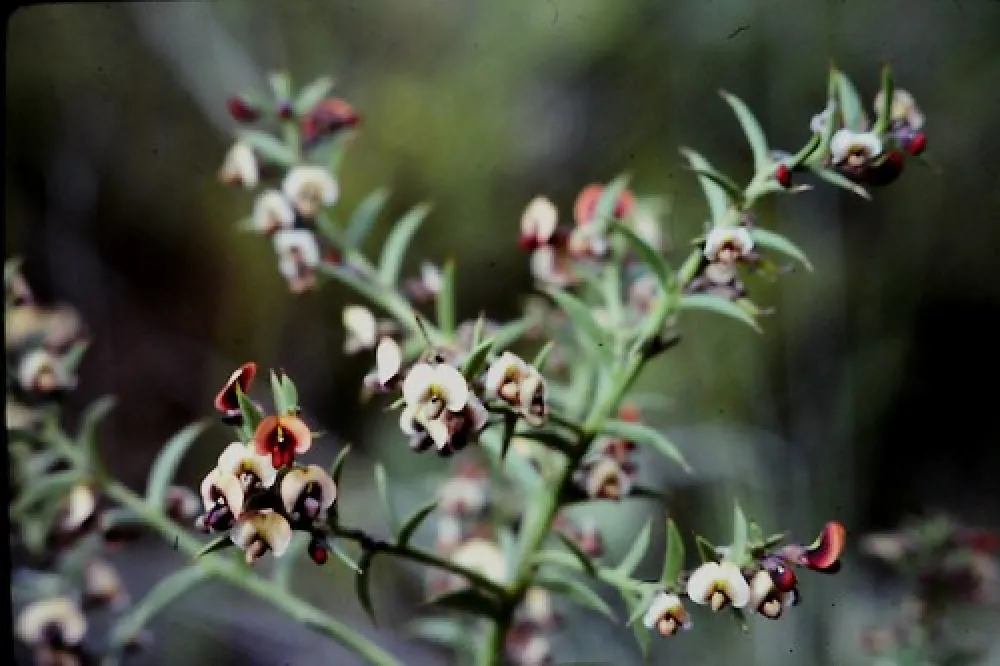 Coffins Corner Campground