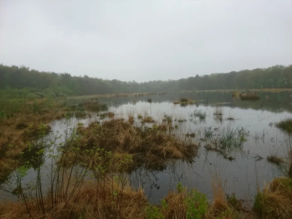 D'Olde Kamp Recreatie