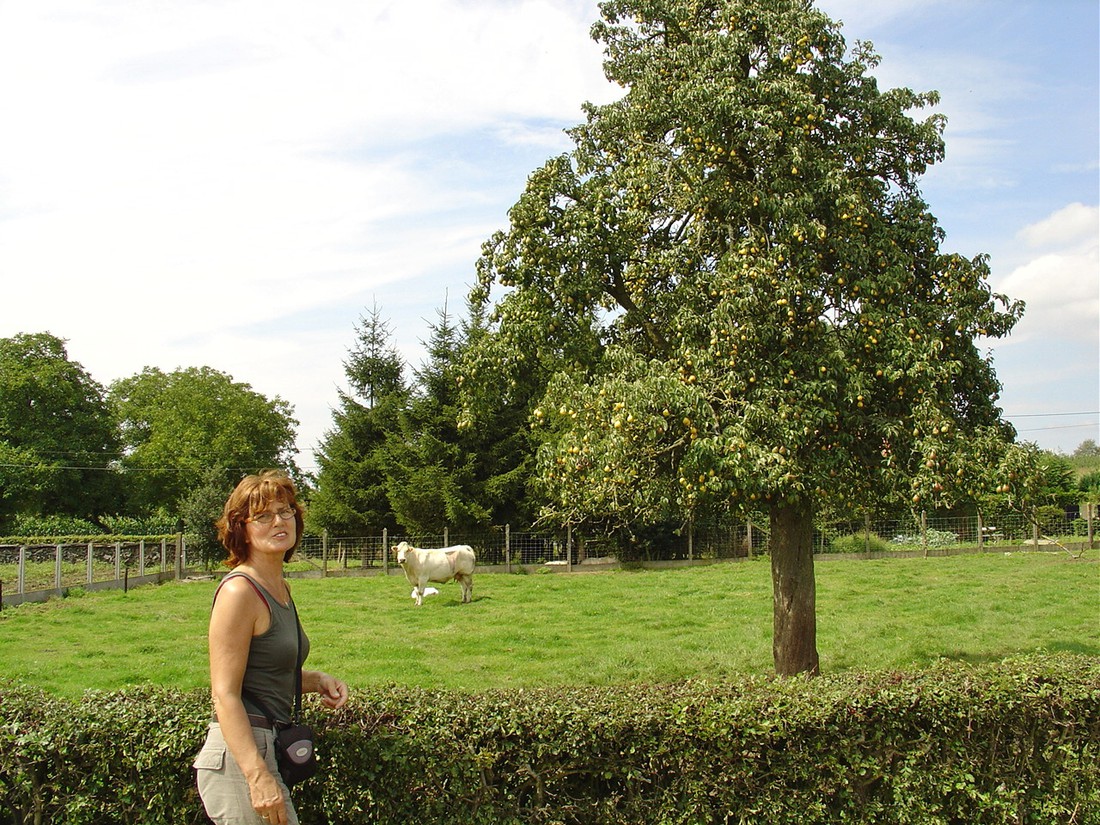 Stille Kempen photo 4