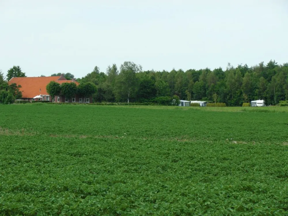 Minicamping Denemarken