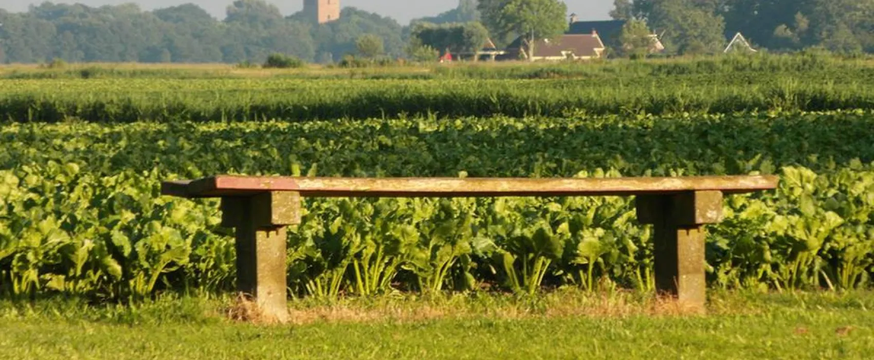 Minicamping Denemarken