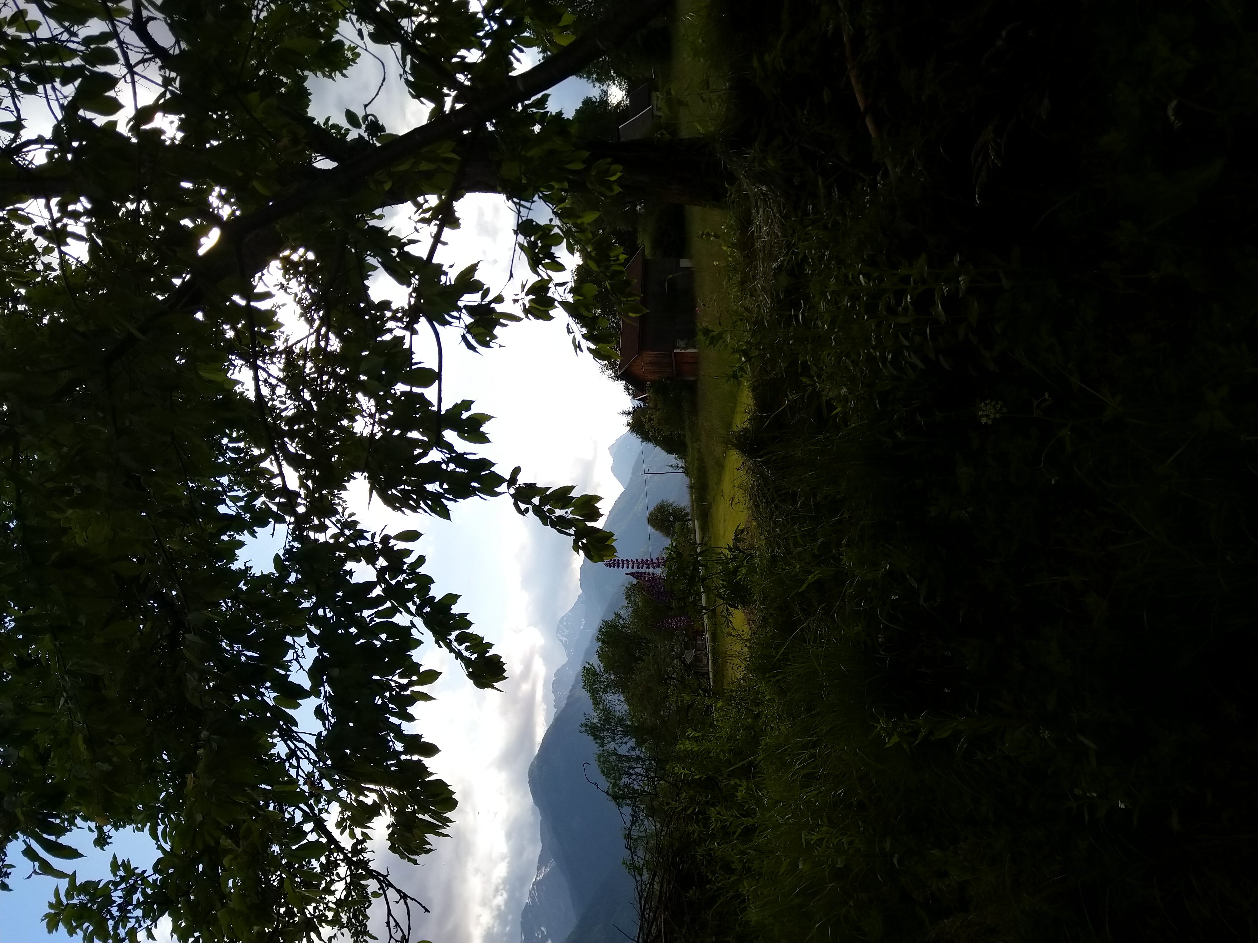 Camping Leifling photo 5