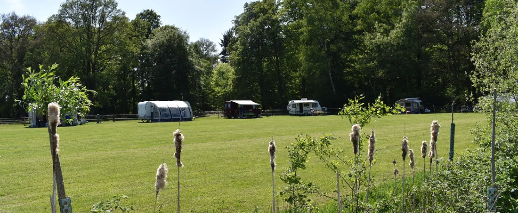 Landschapscamping 't Scharrelhoes