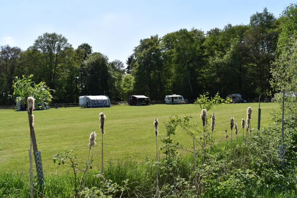 Landschapscamping 't Scharrelhoes