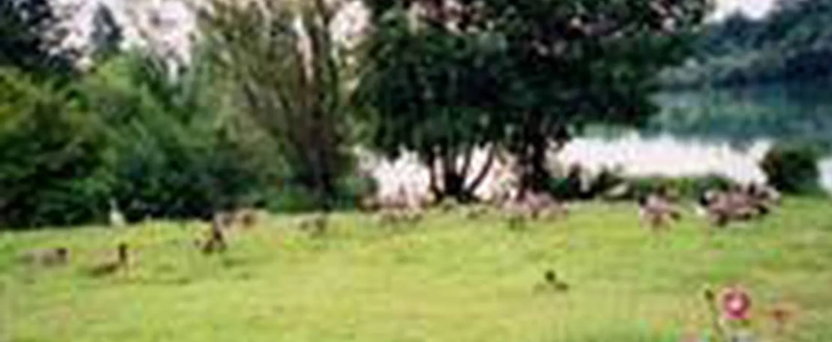 Camping Le Parc du Gué