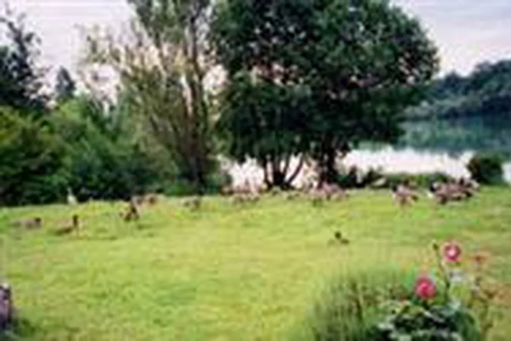 Camping Le Parc du Gué