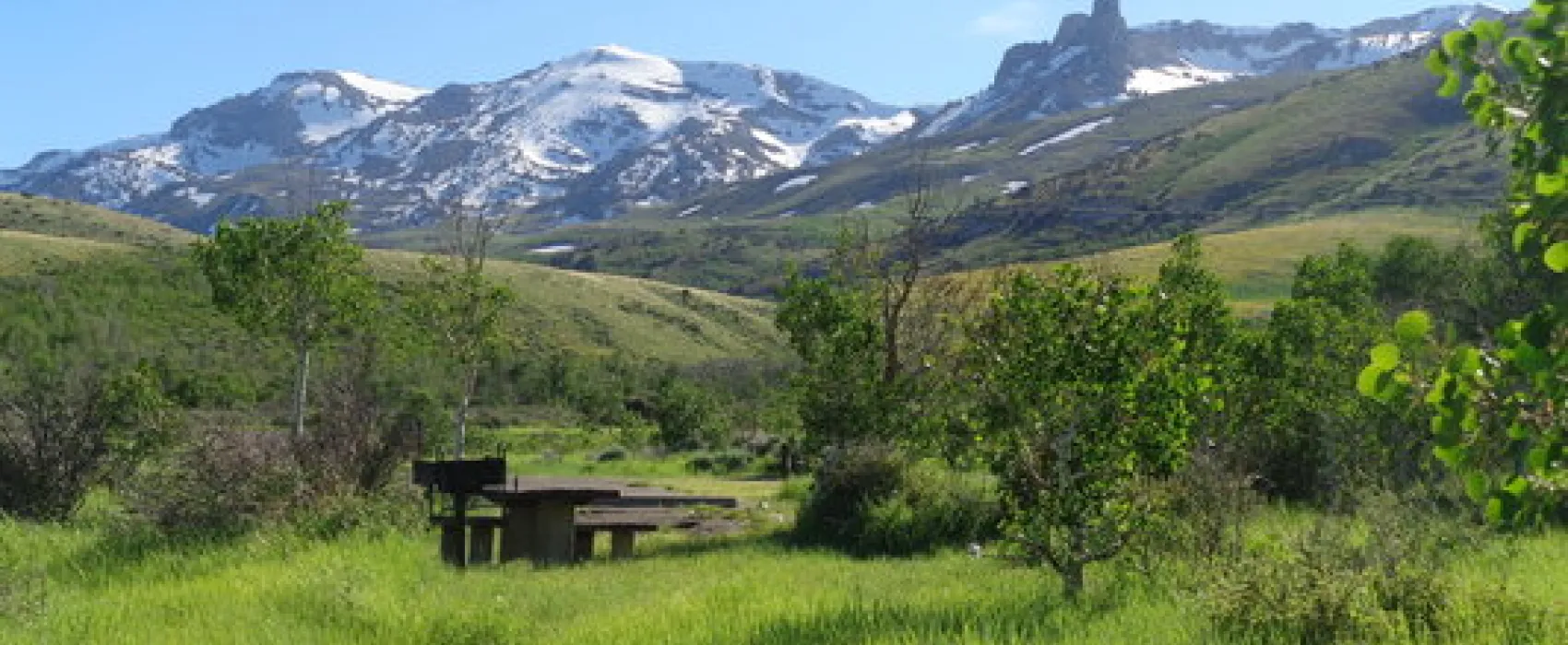 Angel Creek Campground