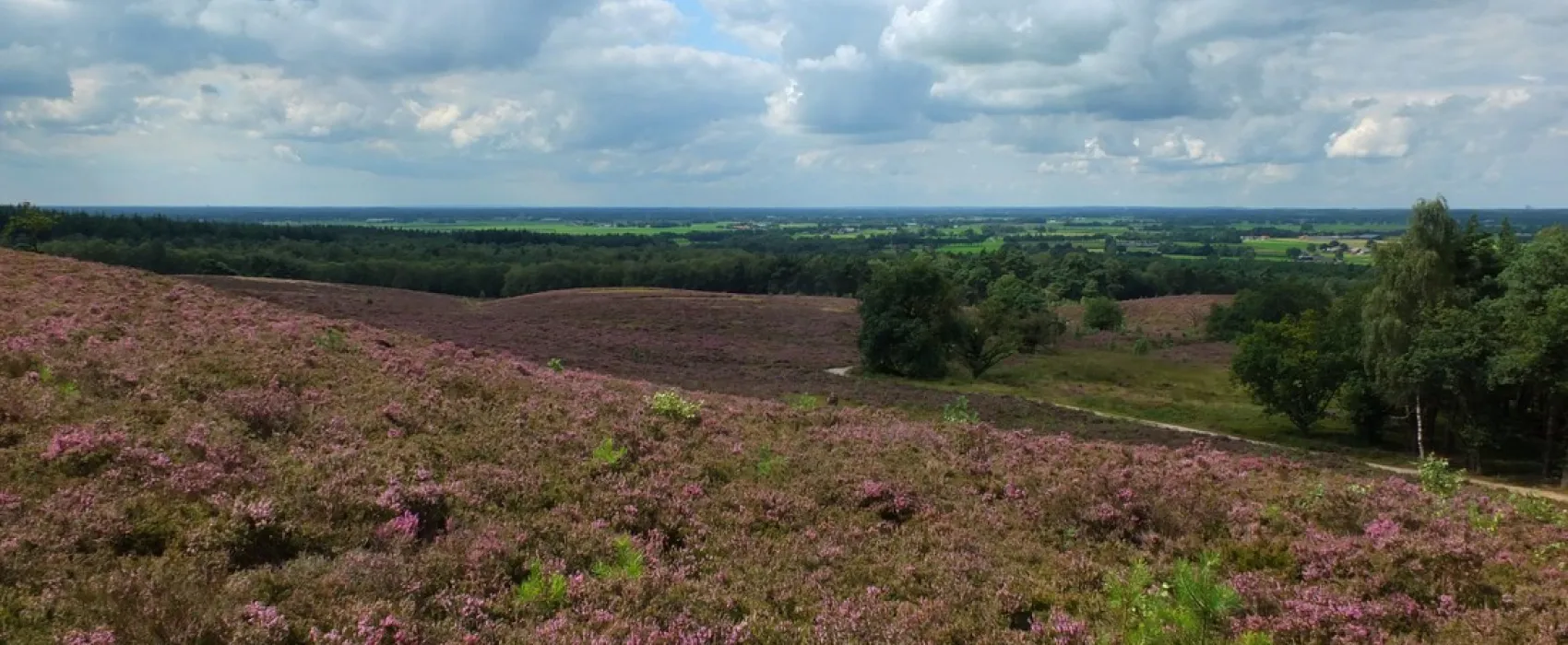 Natuurkampeerterrein De Rietkraag