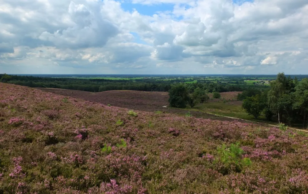 Natuurkampeerterrein De Rietkraag
