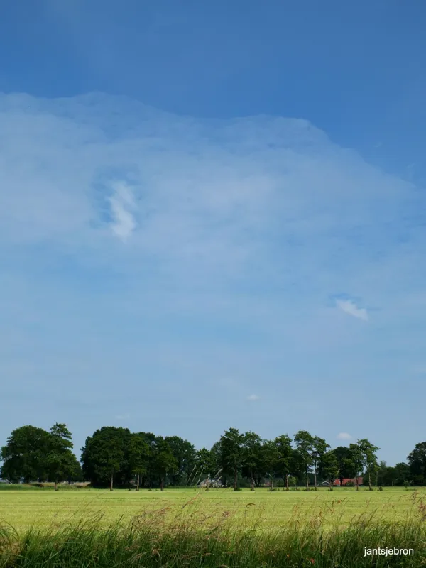 Natuurkampeerterrein De Rietkraag