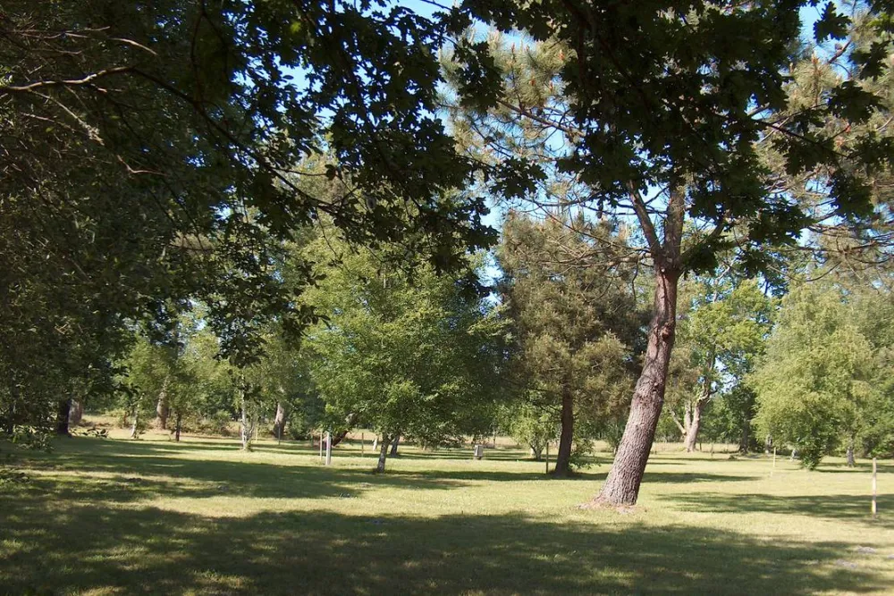 Les Grands Chênes et les Ajoncs