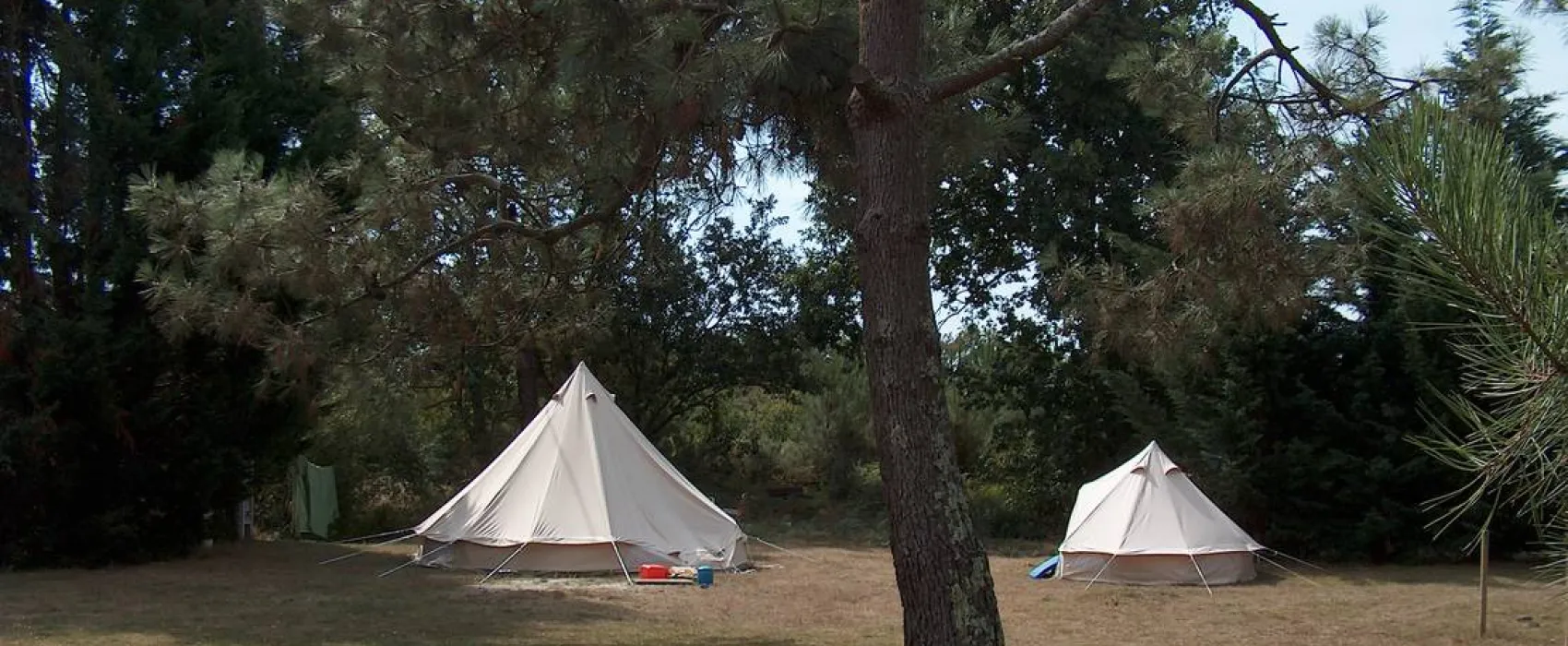 Les Grands Chênes et les Ajoncs