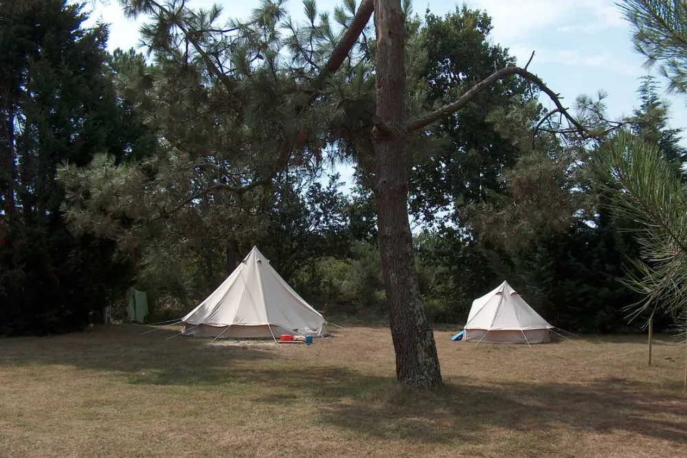 Les Grands Chênes et les Ajoncs