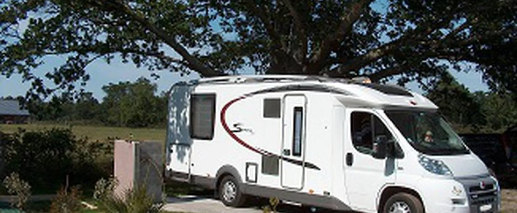 Les Grands Chênes et les Ajoncs