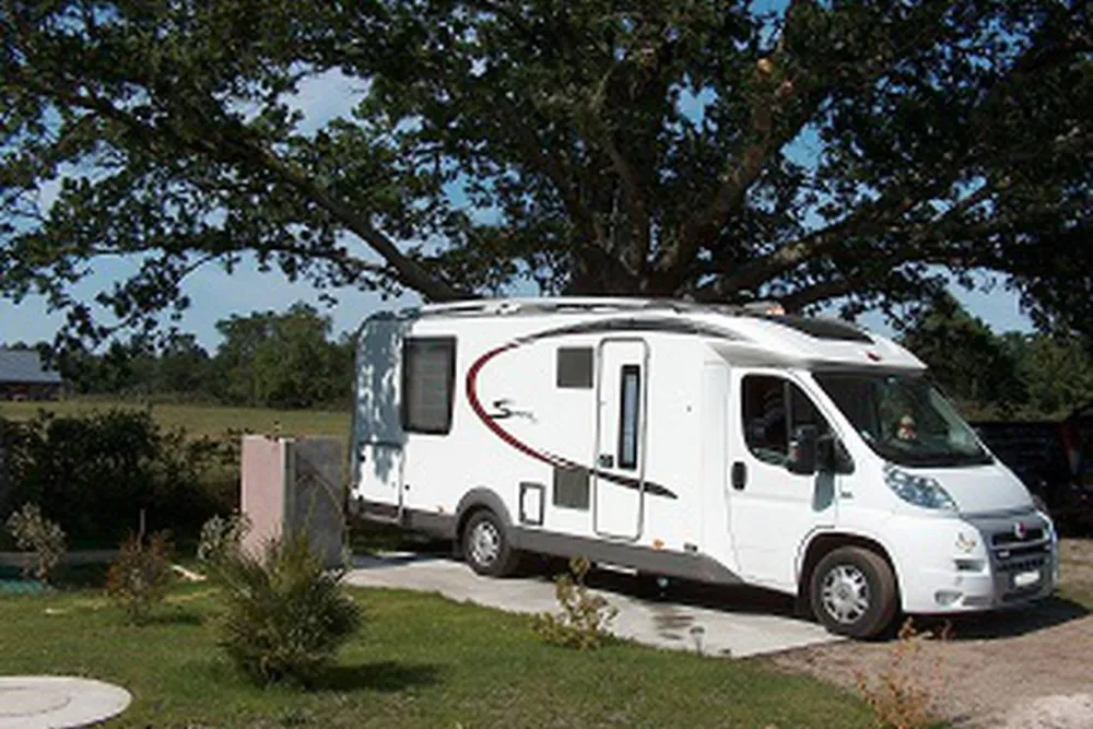 Les Grands Chênes et les Ajoncs