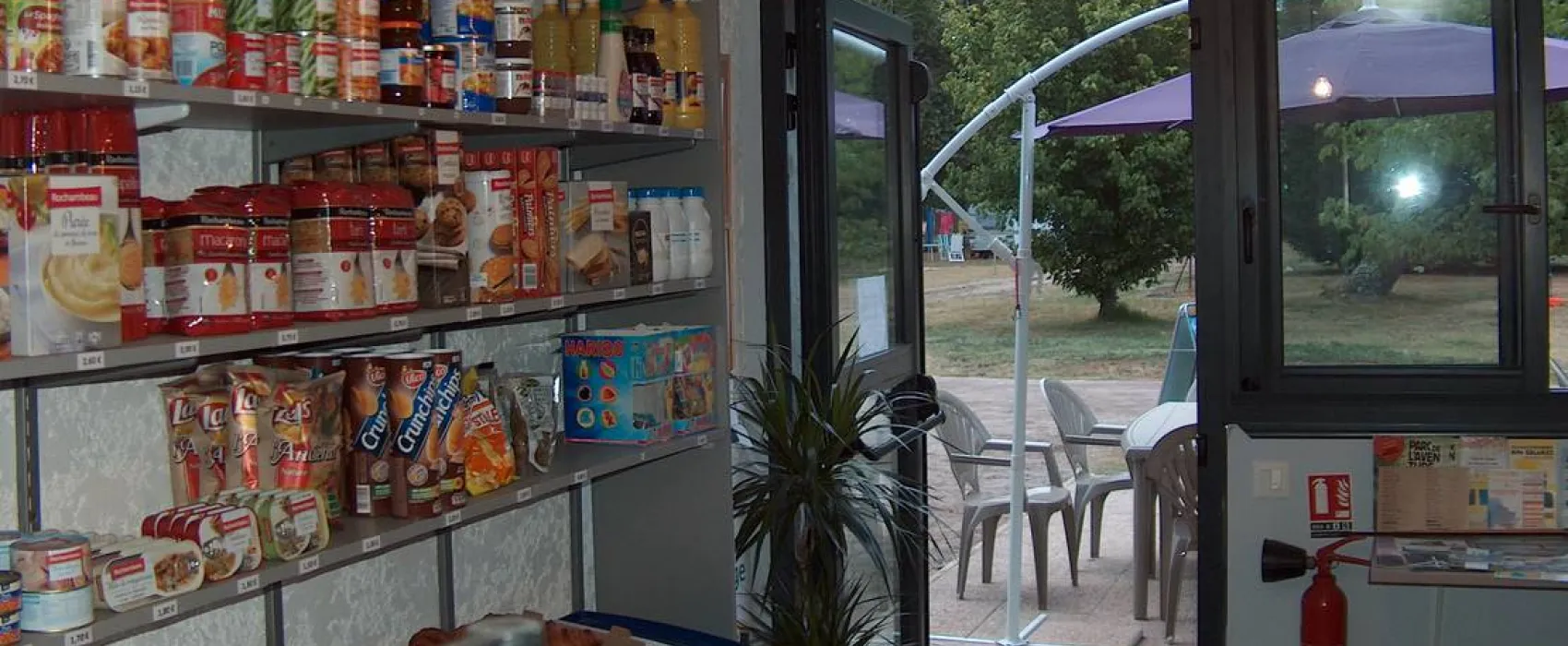 Les Grands Chênes et les Ajoncs