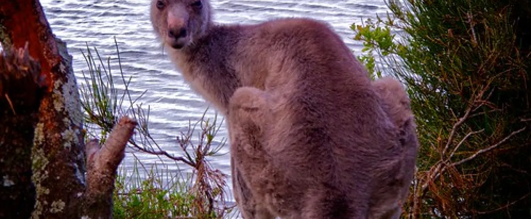 Brou Lake Campground