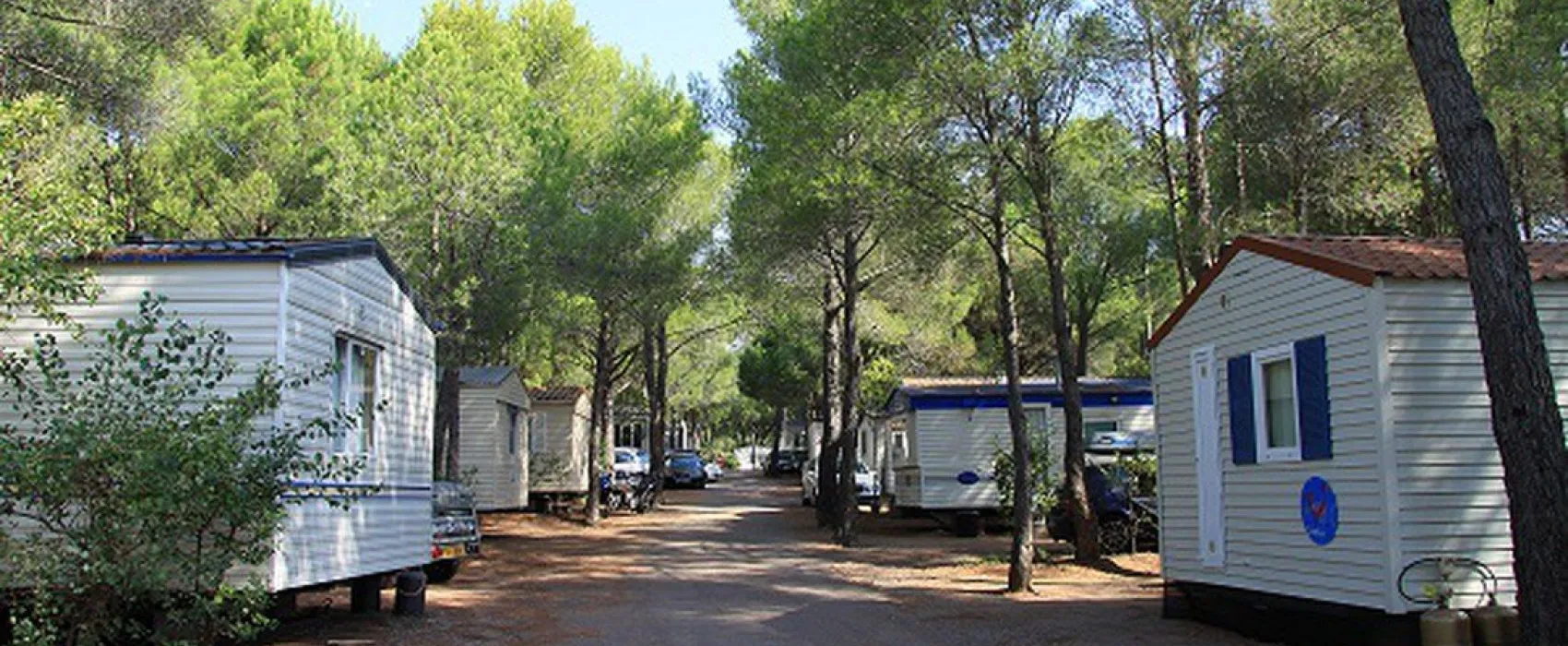 La Baume/La Palmeraie