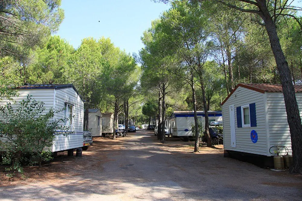 La Baume/La Palmeraie