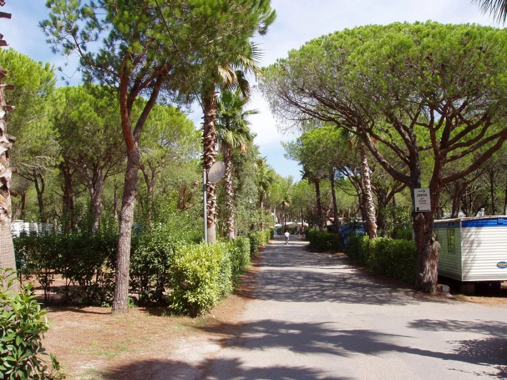 La Baume/La Palmeraie