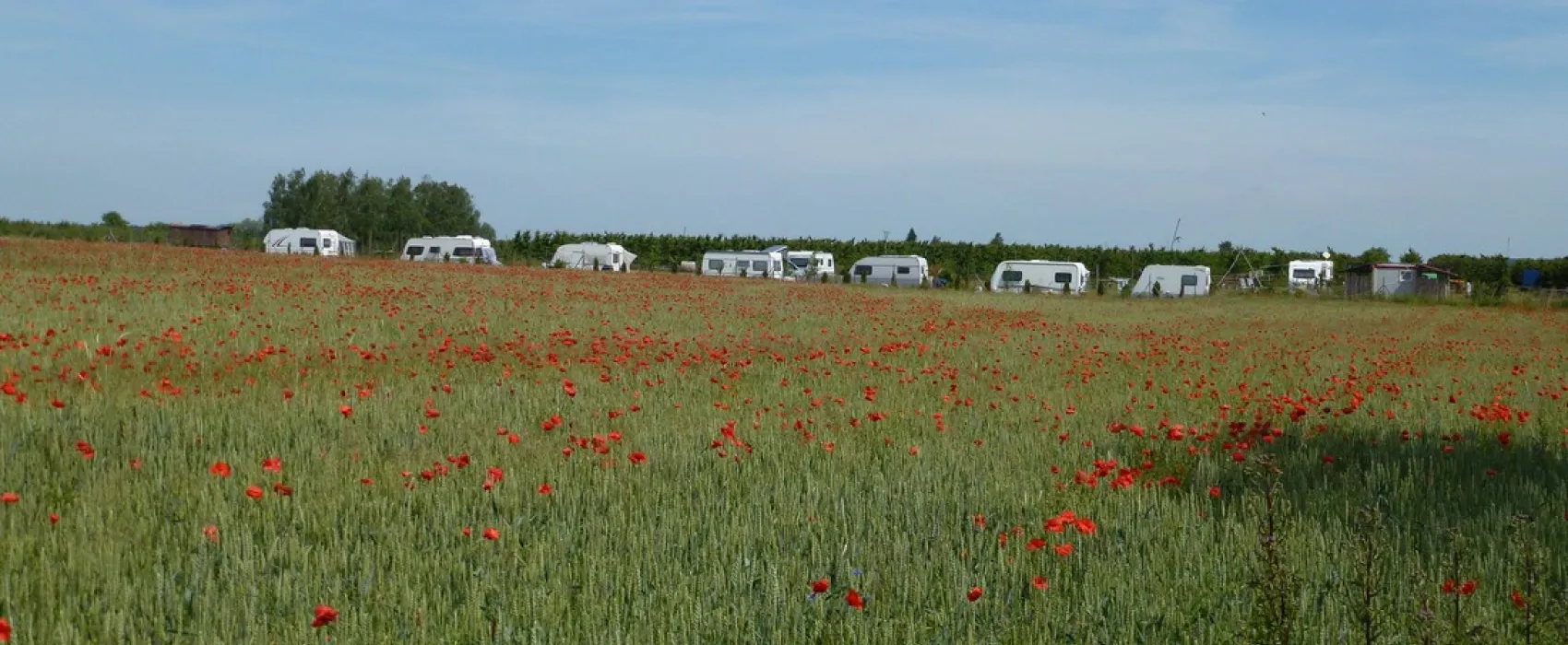 Minicamping Van Dam's Kirschenhof