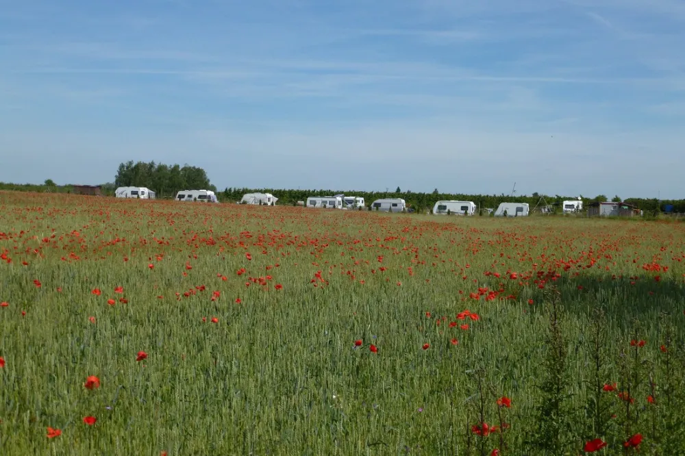Minicamping Van Dam's Kirschenhof