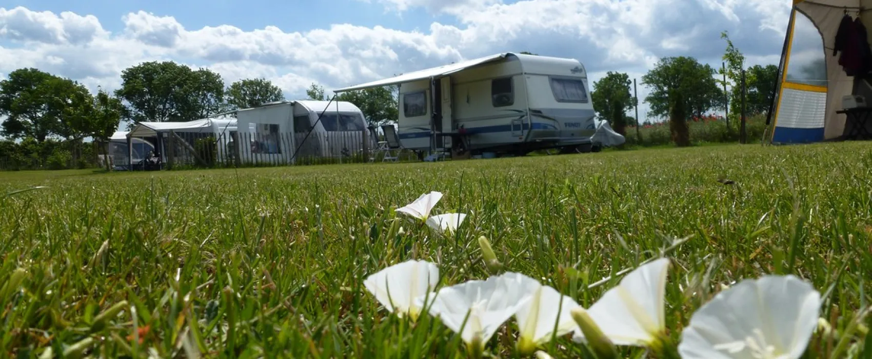 Minicamping Van Dam's Kirschenhof