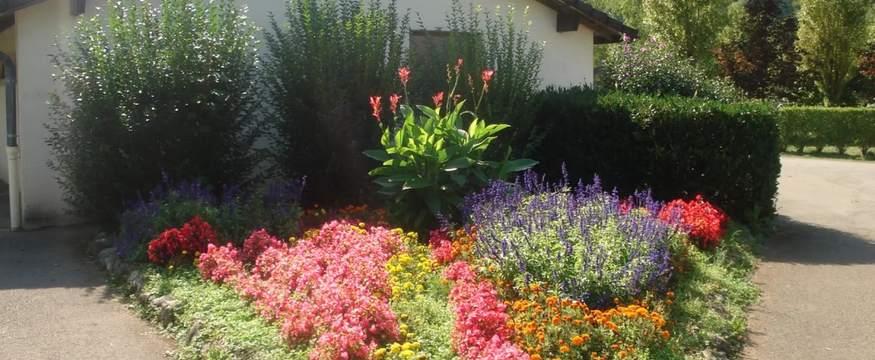 Municipal Les Cyclamens