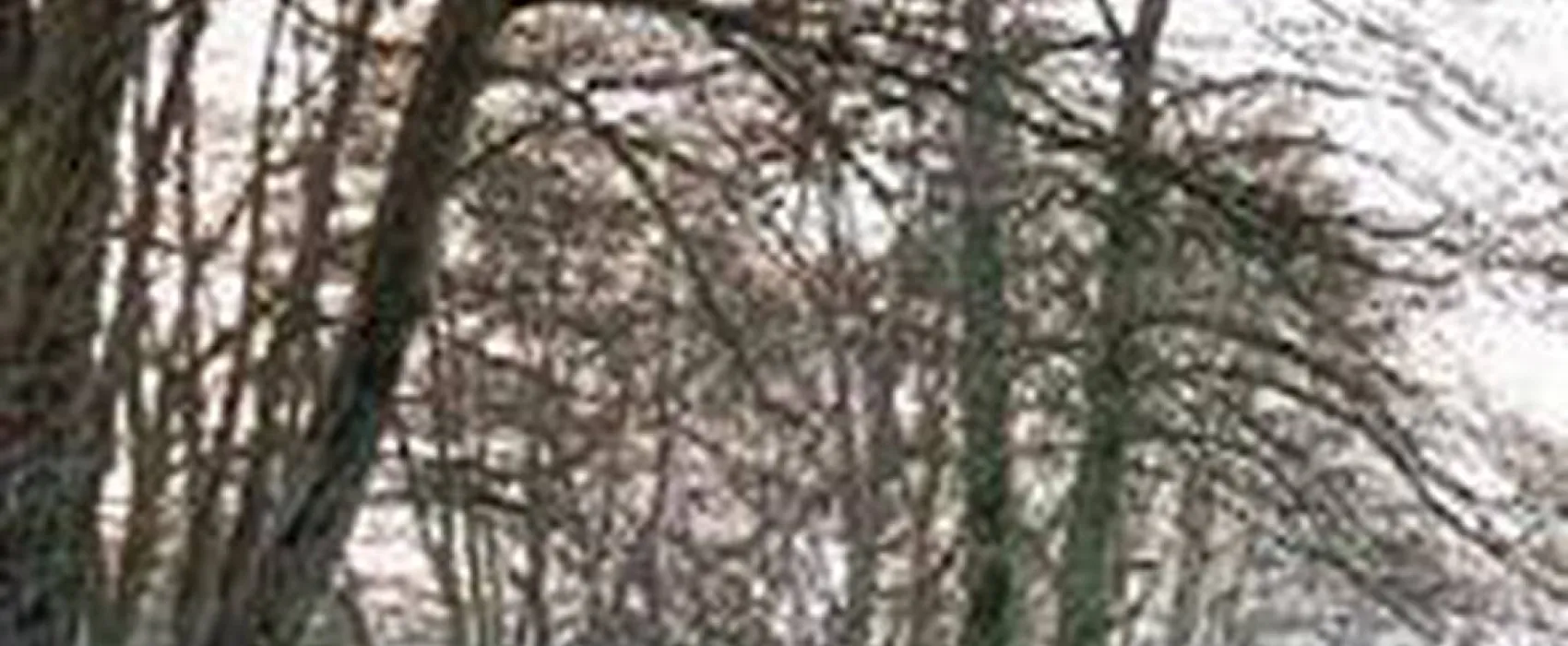 Aire Naturelle De Camping À La Ferme