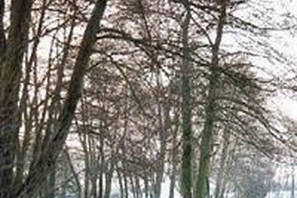 Aire Naturelle De Camping À La Ferme