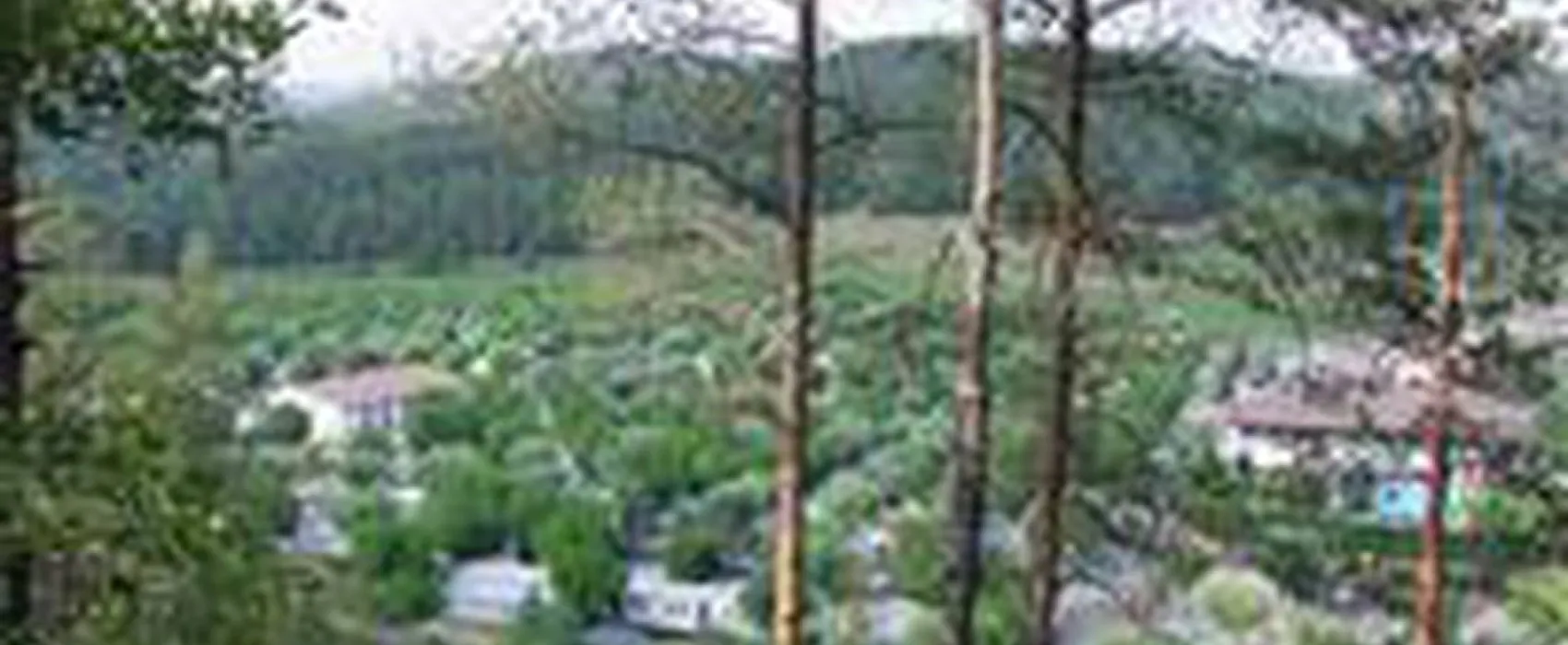 Camping Riera De Merlès