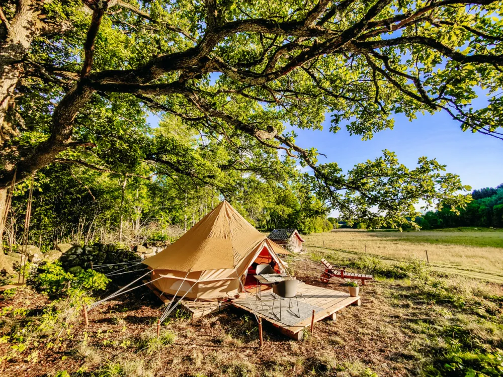 Björkholmens Glamping