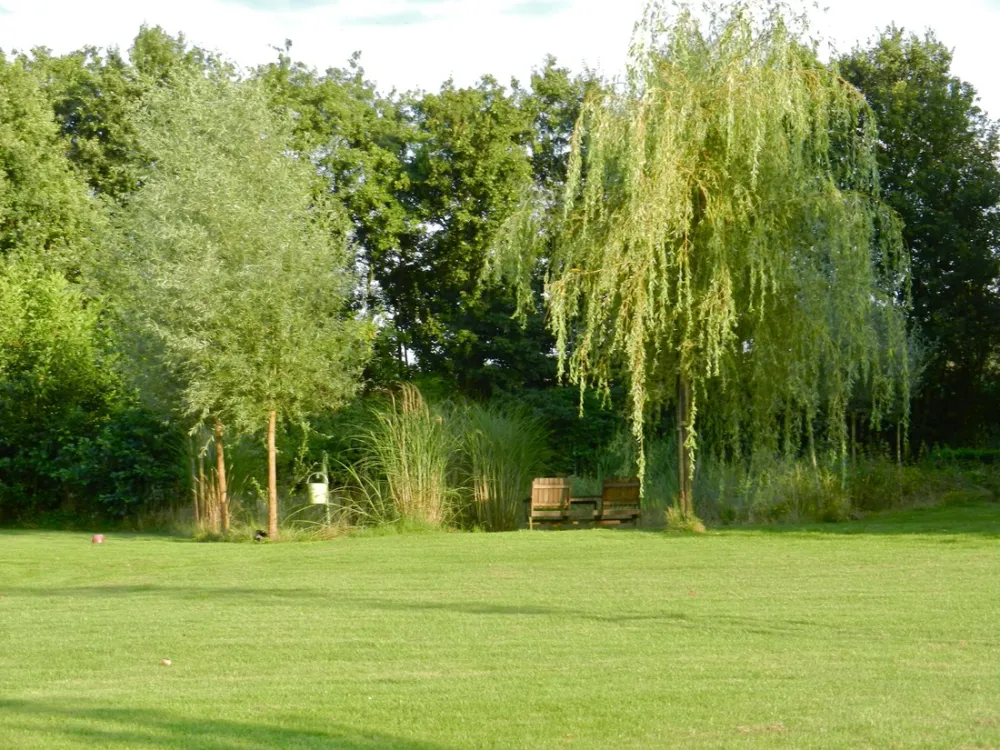 Het Heilig Boontje Koffie