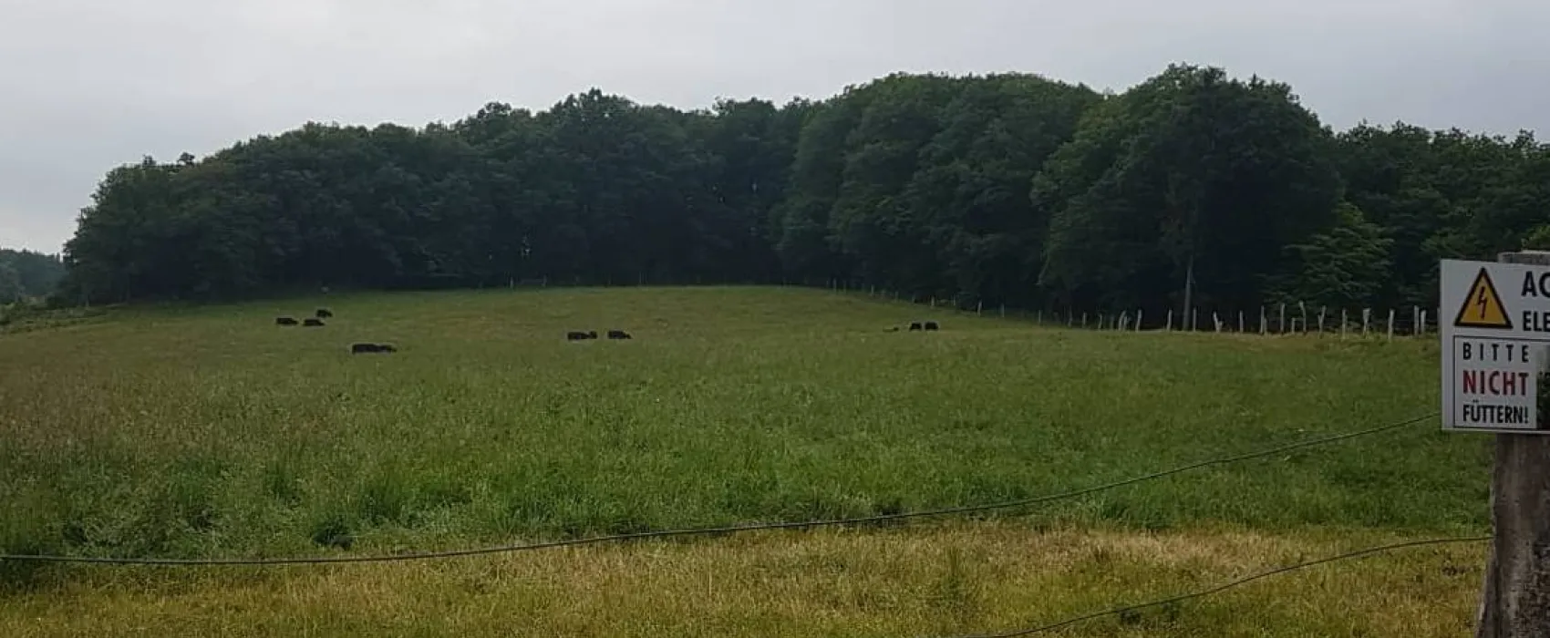 Ferienhotel Wolfsmühle